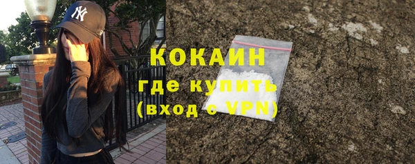 шишки Богданович