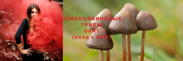 ALPHA-PVP Богородск