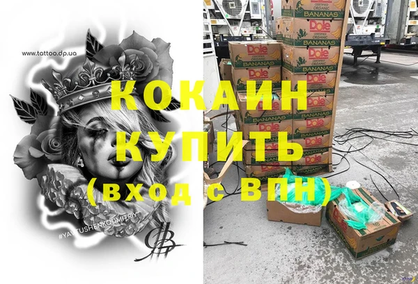шишки Богданович